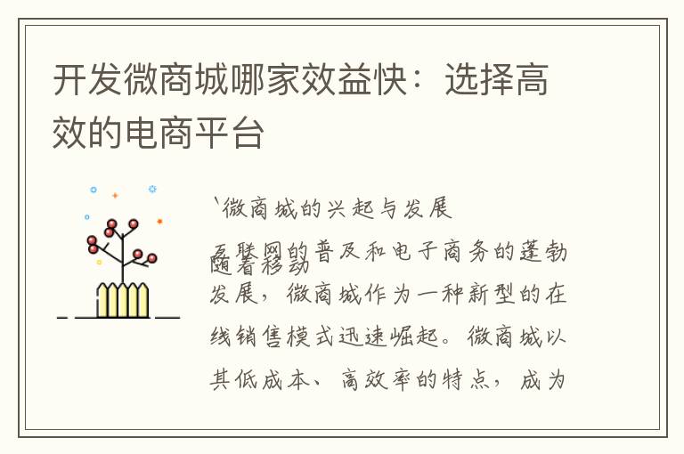 开发微商城哪家效益快:选择高效的电商平台