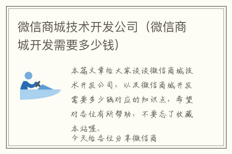 微信商城技术开发公司(微信商城开发需要多少钱)