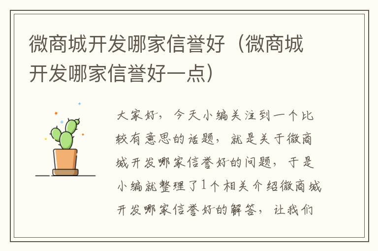 微商城开发哪家信誉好(微商城开发哪家信誉好一点)