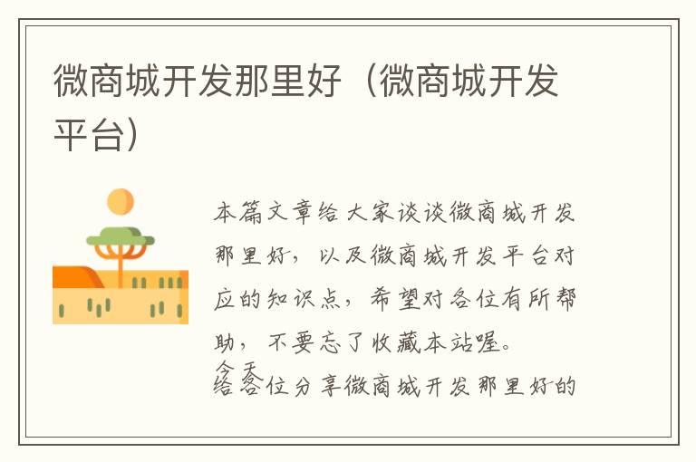 微商城开发那里好(微商城开发平台)