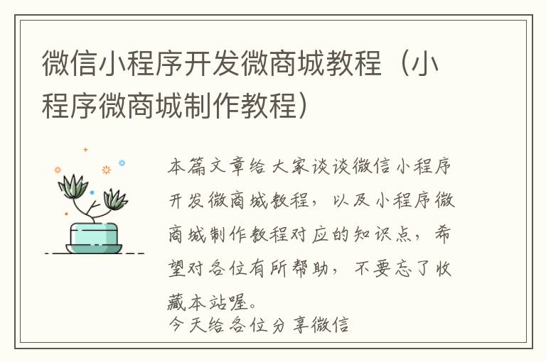 微信小程序开发微商城教程(小程序微商城制作教程)