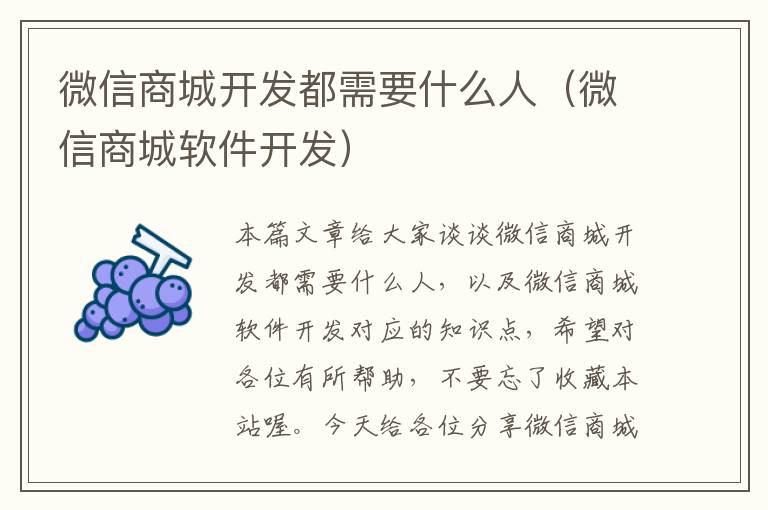 微信商城开发都需要什么人(微信商城软件开发)