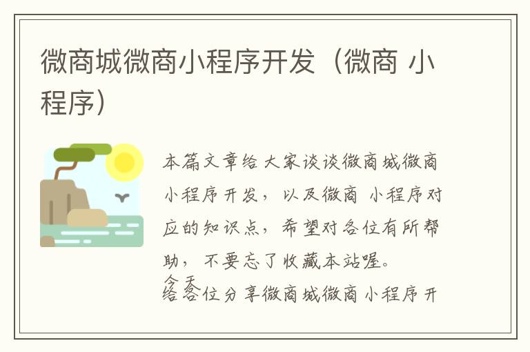 微商城微商小程序开发(微商 小程序)