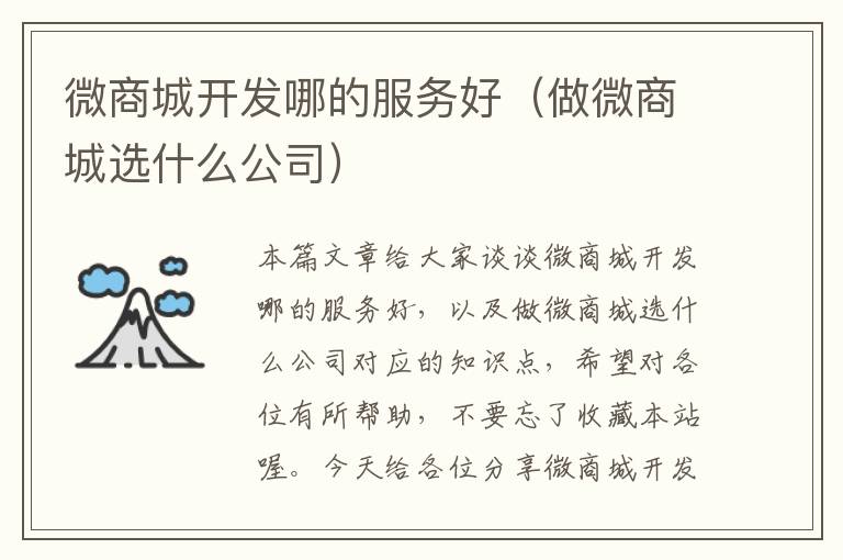 微商城开发哪的服务好(做微商城选什么公司)