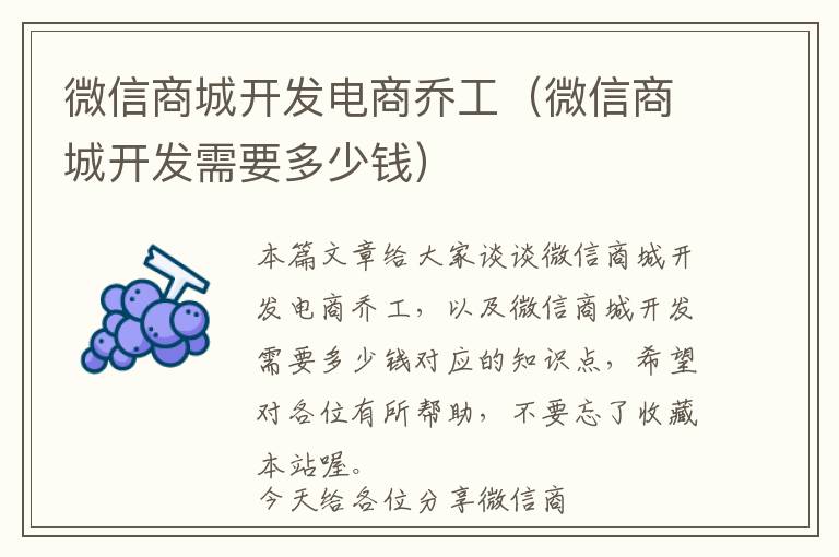 微信商城开发电商乔工(微信商城开发需要多少钱)