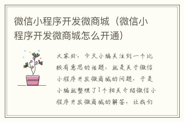 微信小程序开发微商城(微信小程序开发微商城怎么开通)