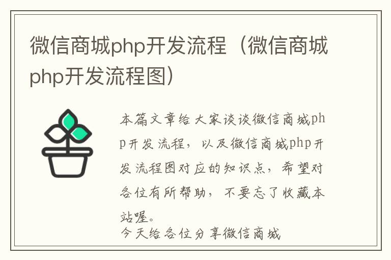 微信商城php开发流程(微信商城php开发流程图)
