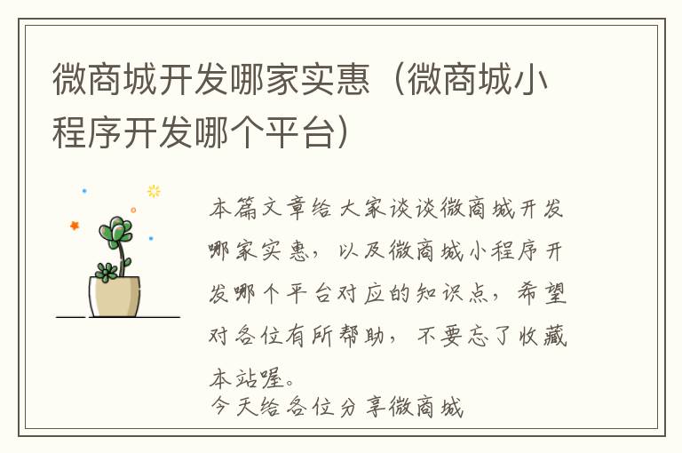 微商城开发哪家实惠(微商城小程序开发哪个平台)