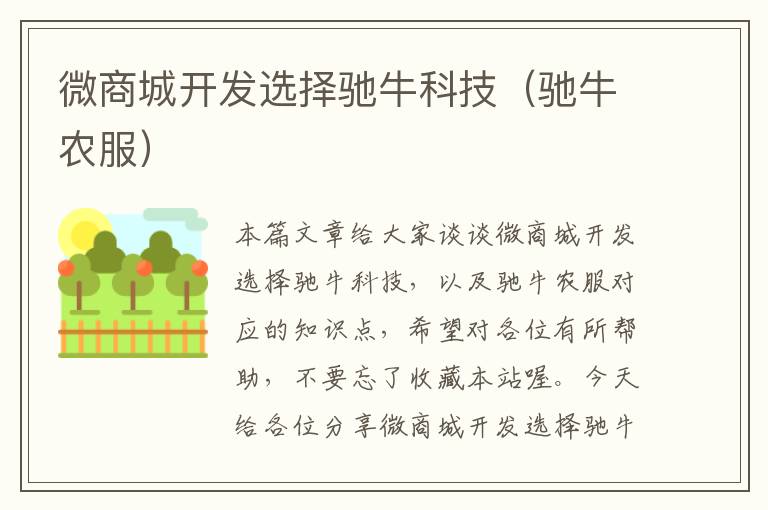 微商城开发选择驰牛科技(驰牛农服)