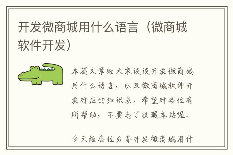 开发微商城用什么语言(微商城软件开发)