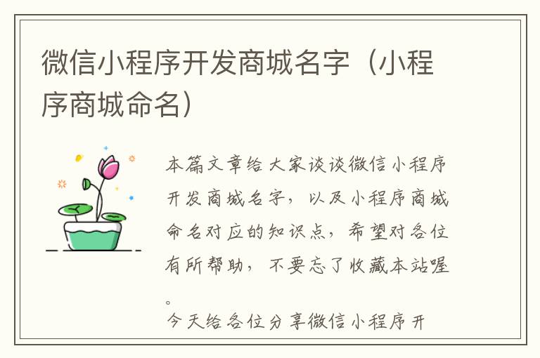 微信小程序开发商城名字(小程序商城命名)