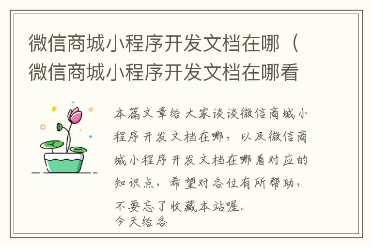 微信商城小程序开发文档在哪(微信商城小程序开发文档在哪看)