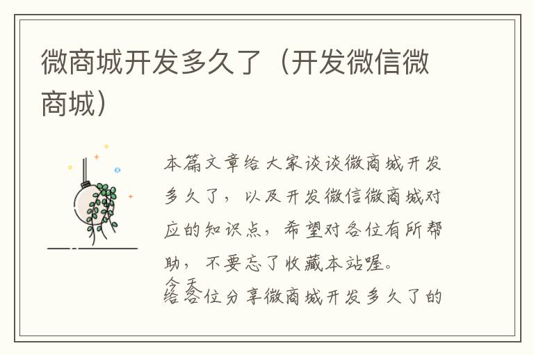 微商城开发多久了(开发微信微商城)