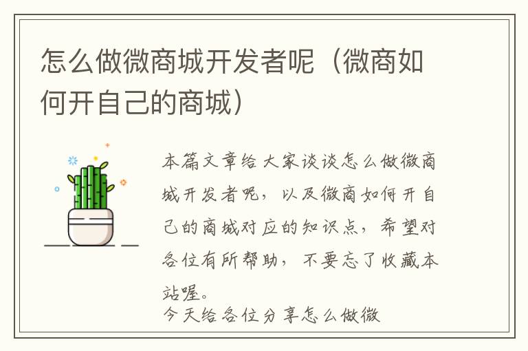 怎么做微商城开发者呢(微商如何开自己的商城)