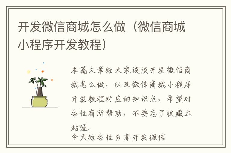 开发微信商城怎么做(微信商城小程序开发教程)