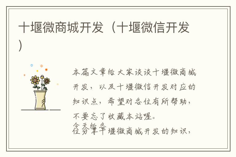 十堰微商城开发(十堰微信开发)