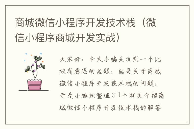商城微信小程序开发技术栈(微信小程序商城开发实战)