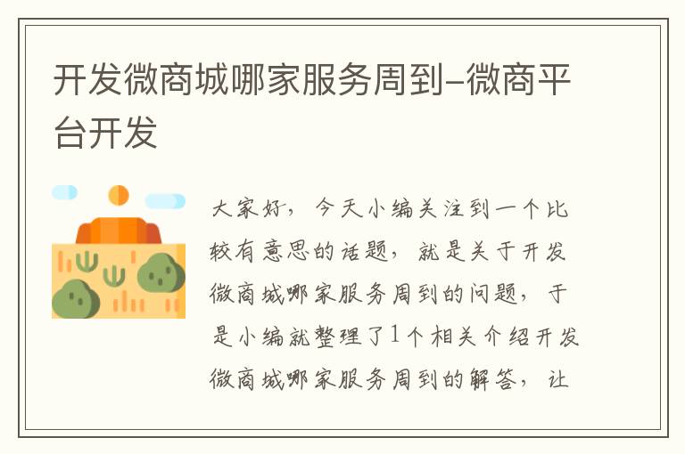 开发微商城哪家服务周到-微商平台开发
