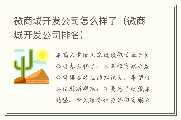 微商城开发公司怎么样了(微商城开发公司排名)
