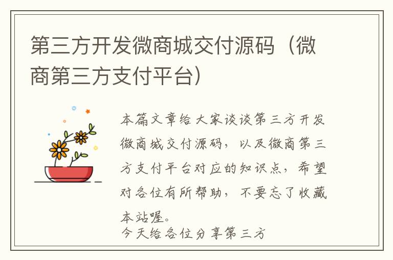 第三方开发微商城交付源码(微商第三方支付平台)