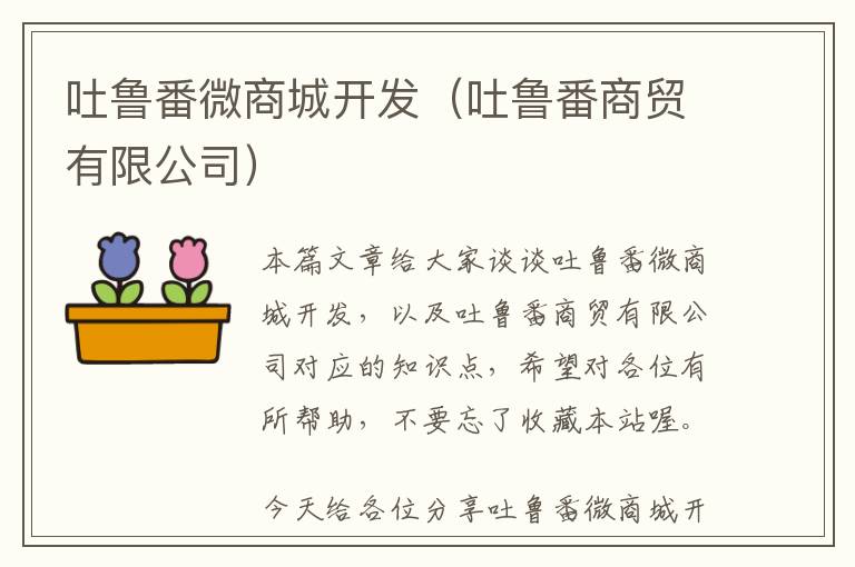 吐鲁番微商城开发(吐鲁番商贸有限公司)