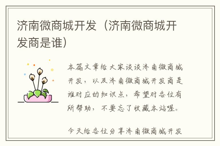 济南微商城开发(济南微商城开发商是谁)