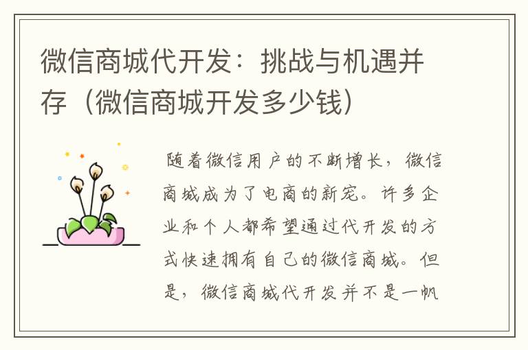 微信商城代开发:挑战与机遇并存(微信商城开发多少钱)