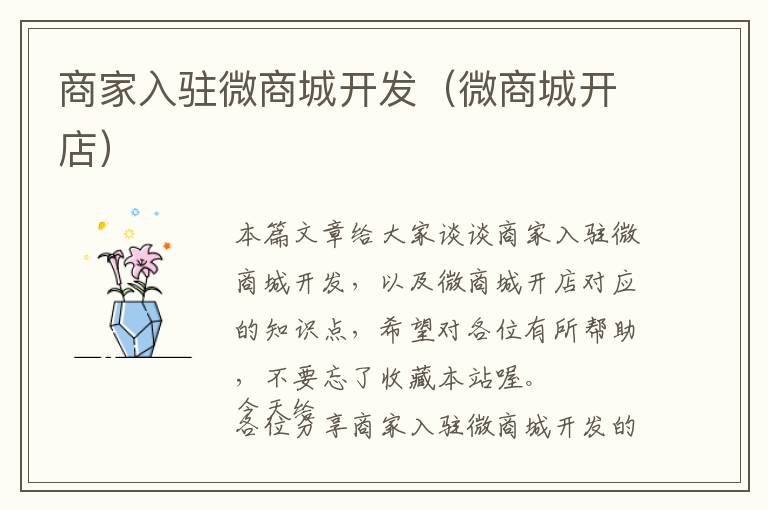 商家入驻微商城开发(微商城开店)