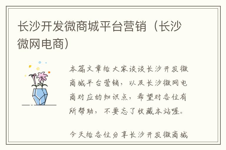 长沙开发微商城平台营销(长沙微网电商)
