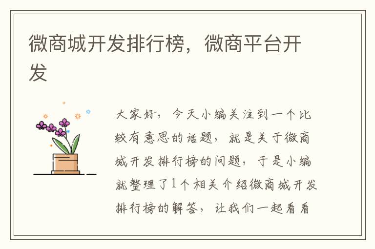 微商城开发排行榜,微商平台开发