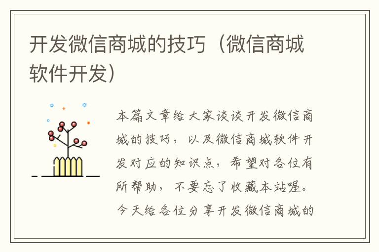 开发微信商城的技巧(微信商城软件开发)