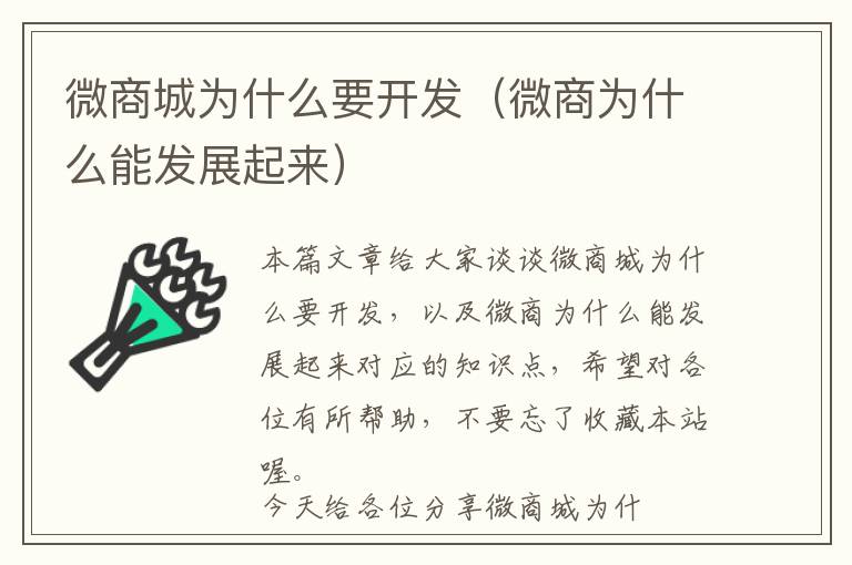 微商城为什么要开发(微商为什么能发展起来)
