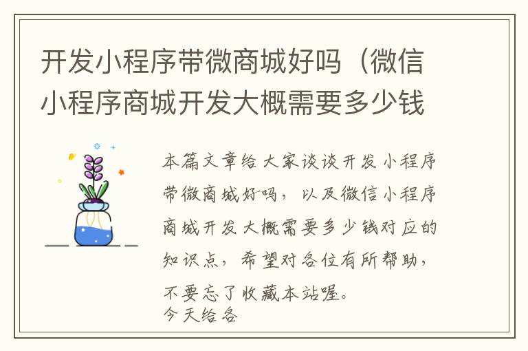 开发小程序带微商城好吗(微信小程序商城开发大概需要多少钱)