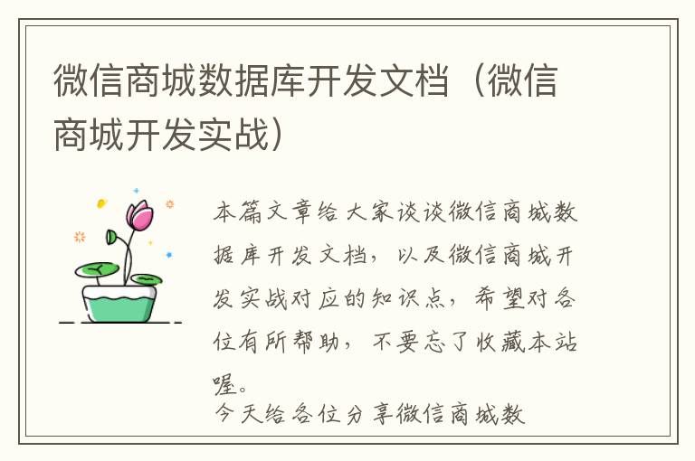 微信商城数据库开发文档(微信商城开发实战)