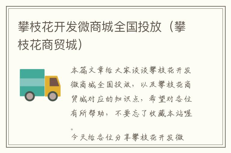 攀枝花开发微商城全国投放(攀枝花商贸城)