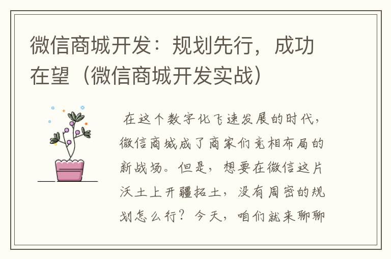 微信商城开发:规划先行,成功在望(微信商城开发实战)