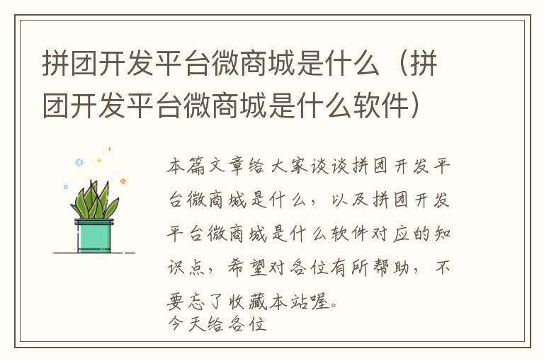 拼团开发平台微商城是什么(拼团开发平台微商城是什么软件)