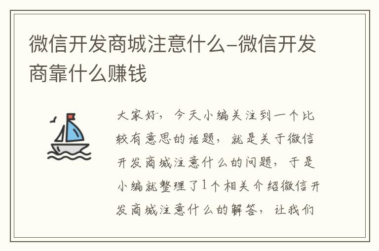 微信开发商城注意什么-微信开发商靠什么赚钱