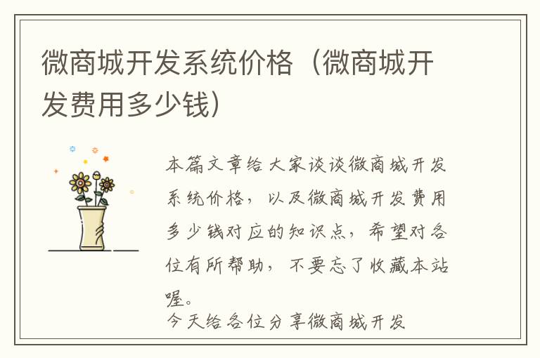 微商城开发系统价格(微商城开发费用多少钱)