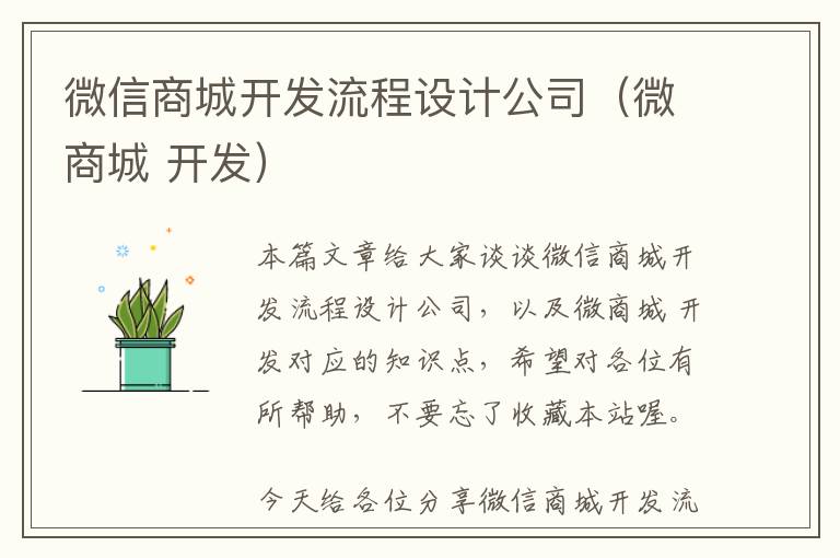 微信商城开发流程设计公司(微商城 开发)