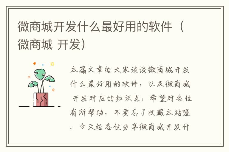 微商城开发什么最好用的软件(微商城 开发)