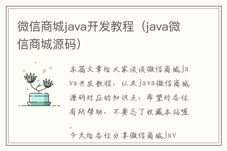 微信商城java开发教程(java微信商城源码)