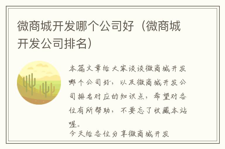 微商城开发哪个公司好(微商城开发公司排名)