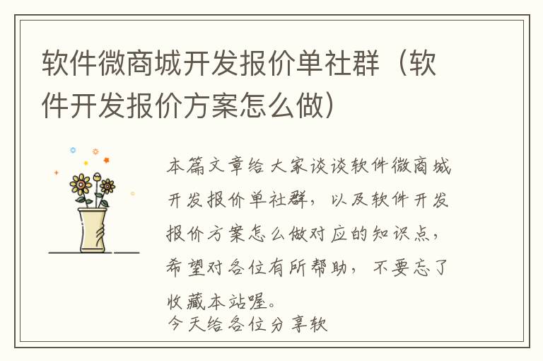 软件微商城开发报价单社群(软件开发报价方案怎么做)