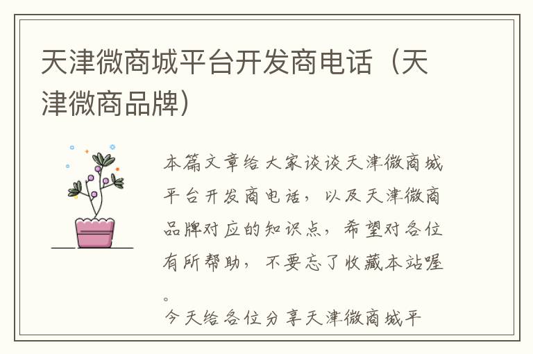 天津微商城平台开发商电话(天津微商品牌)