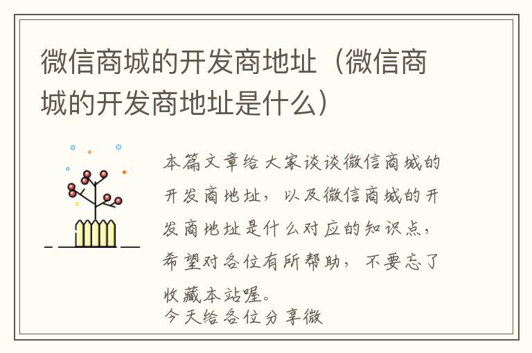 微信商城的开发商地址(微信商城的开发商地址是什么)