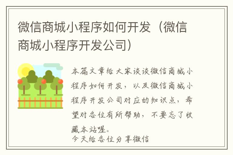 微信商城小程序如何开发(微信商城小程序开发公司)