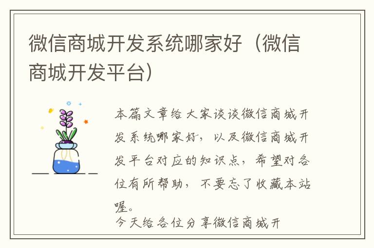 微信商城开发系统哪家好(微信商城开发平台)