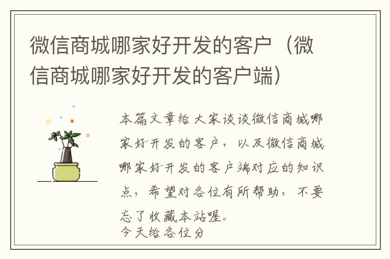 微信商城哪家好开发的客户(微信商城哪家好开发的客户端)