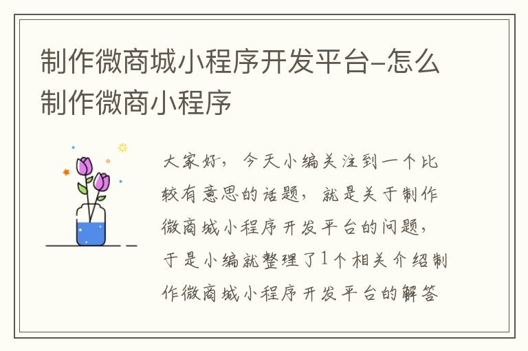 制作微商城小程序开发平台-怎么制作微商小程序